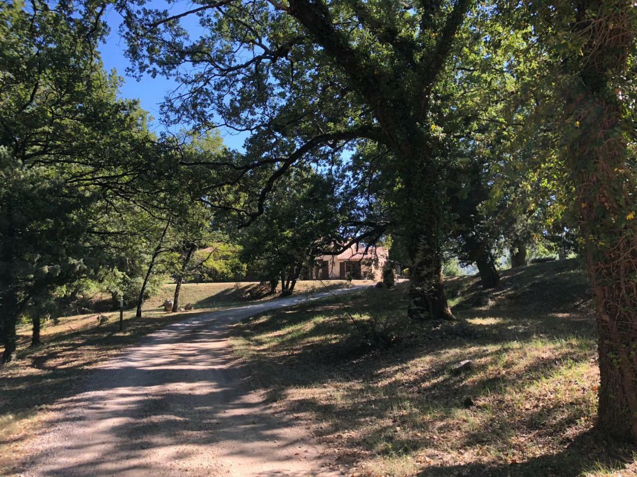 Ferme Le Pavillon Bed and Breakfast Bargemon Εξωτερικό φωτογραφία